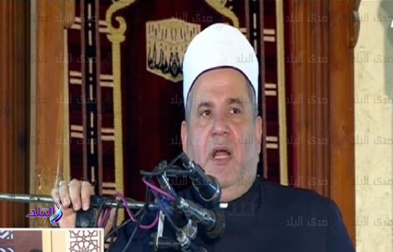 الدكتور محمد أبو هاشم الأستاذ بجامعة الأزهر