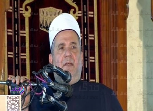 الدكتور محمد أبو هاشم الأستاذ بجامعة الأزهر