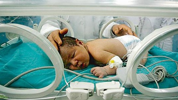 صورة ارشيفية صورة ارشيفية