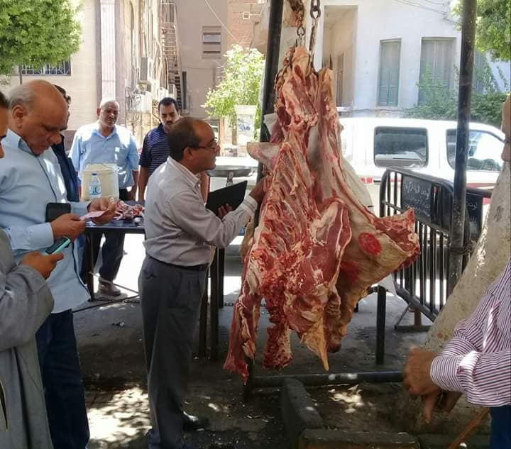 بيطري  بيطري