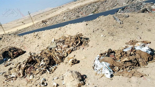 صورة أرشيفية صورة أرشيفية