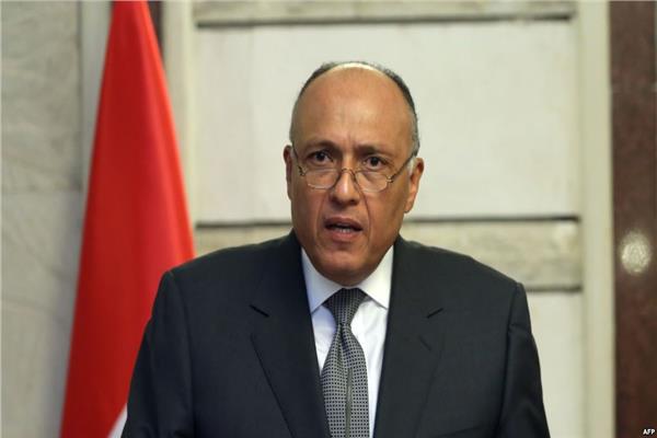 الوزير شكري