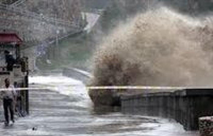 إعصار فلورنس