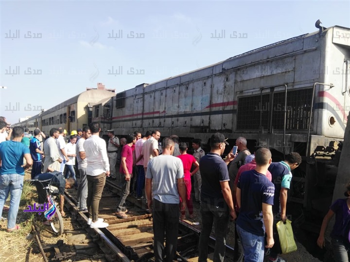 قطار شبين قطار شبين