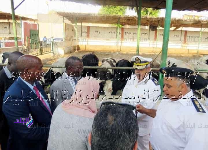 وفد زامبى فى منظقة سجون طره وفد زامبى فى منظقة سجون طره