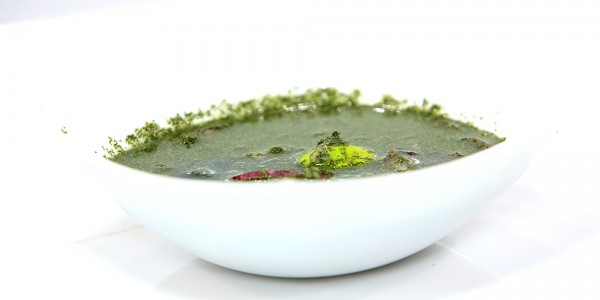 ملوخية شامى 