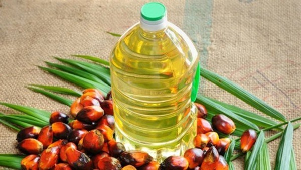 زيت النخيل 