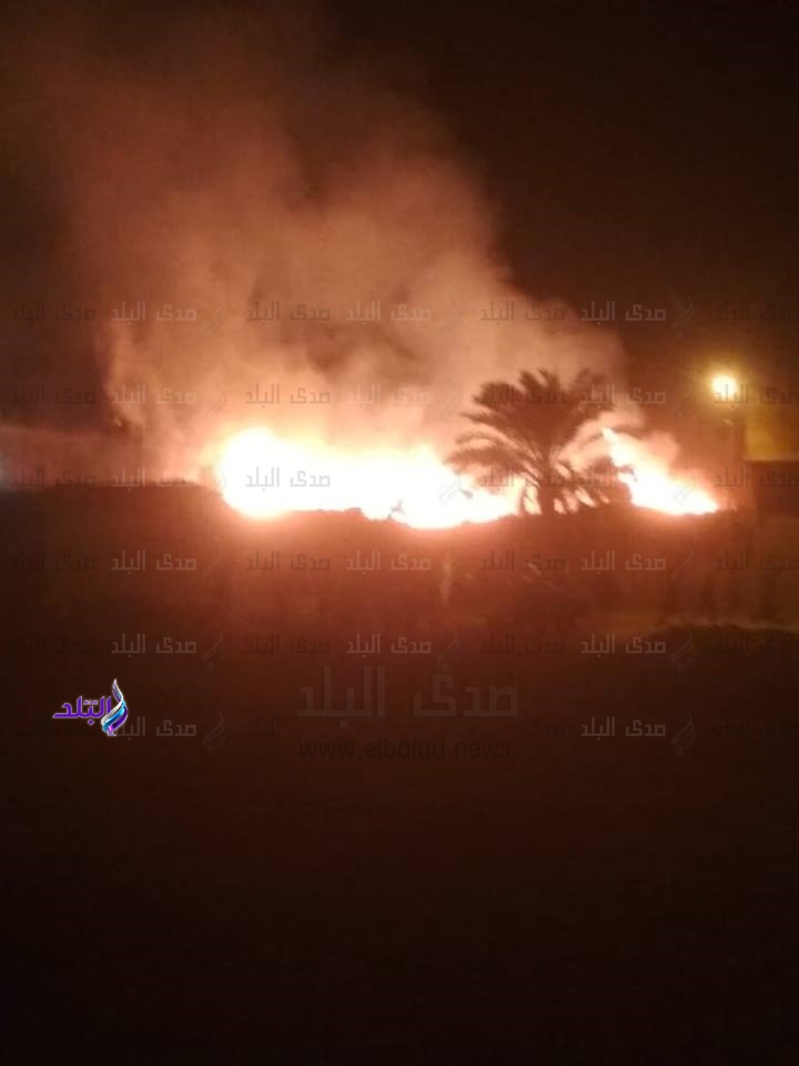 احتراق 3 حظائر ماشية بعزبة رحيم بمركز سنورس بالفيوم ..صور احتراق 3 حظائر ماشية بعزبة رحيم بمركز سنورس بالفيوم ..صور