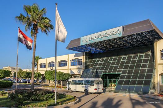 جامعة دمياط