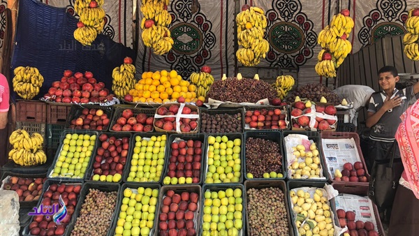 الخضر والفاكهة الخضر والفاكهة