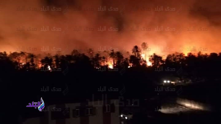 حرائق مزارع نخيل قرية الراشدة بالوادي الجديد