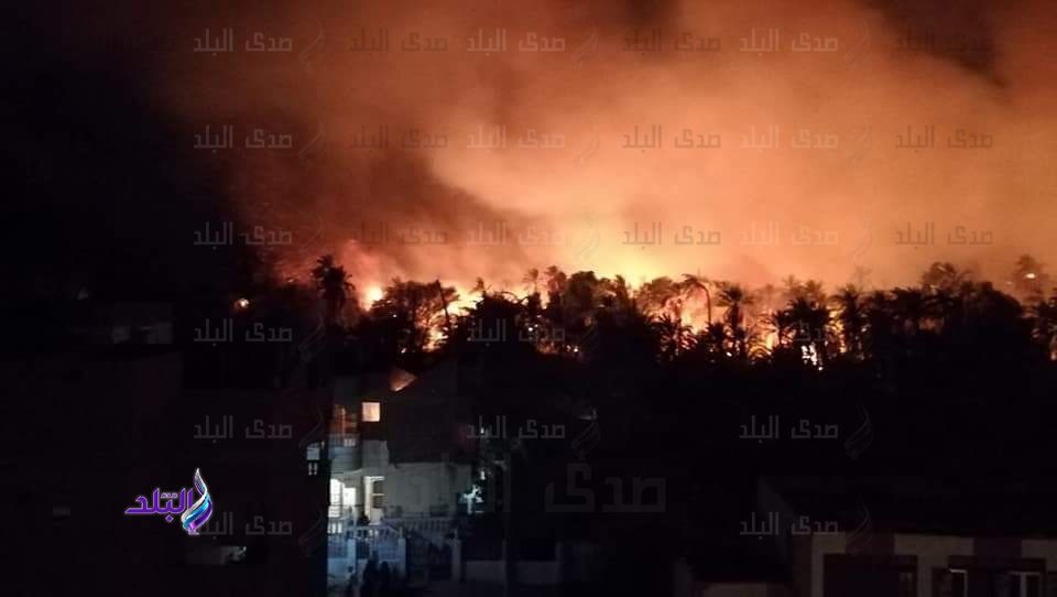 إخلاء جميع المنازل المواجهة لحريق الراشدة بالوادى الجديد