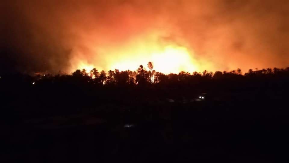 حريق ضخم يلتهم مزارع النخيل بالوادي الجديد