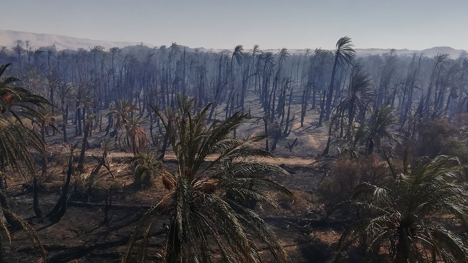 حريق قرية الراشدة