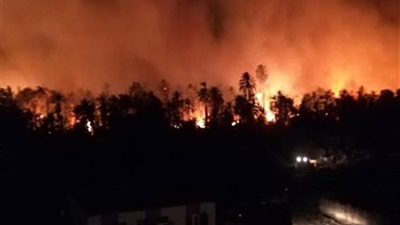 حريق قرية الراشدة