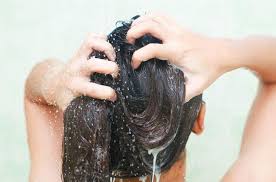  صورة أرشفية 