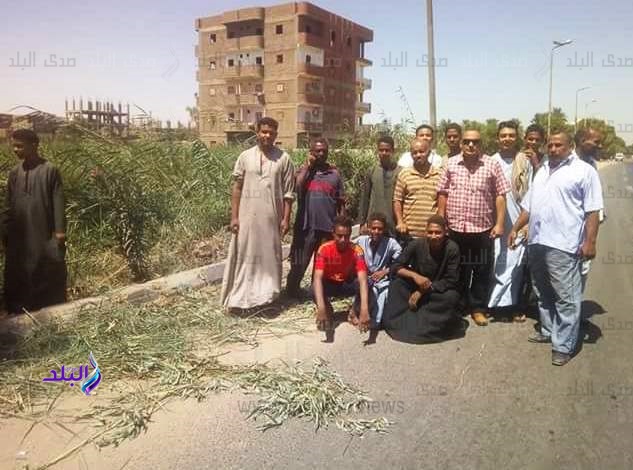 حملة أجمل مدينة وقرية بالبصيلية بأسوان حملة أجمل مدينة وقرية بالبصيلية بأسوان
