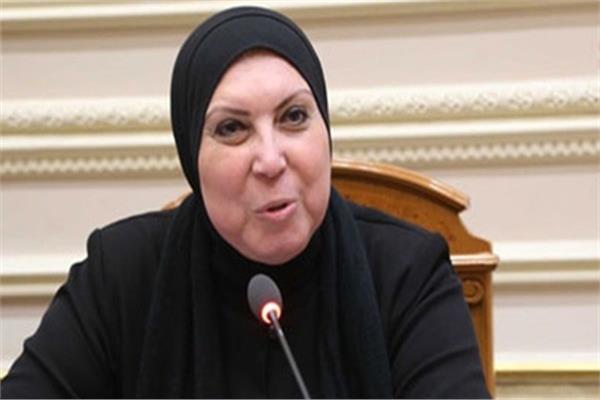 نيفين جامع، الرئيس التنفيذي لجهاز تنمية المشروعات