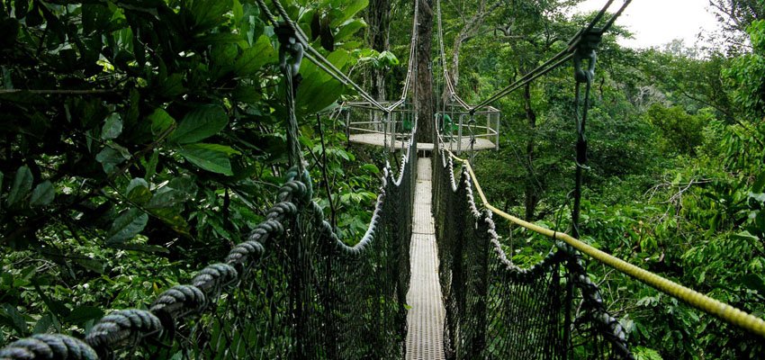 مخاطر حرائق غابات الامازون