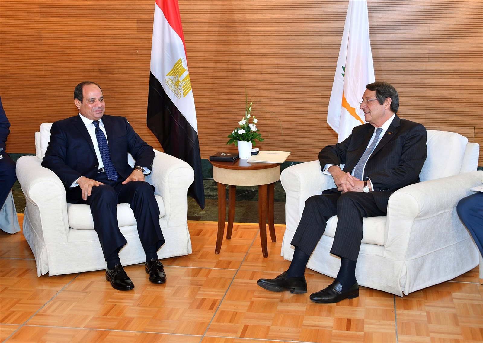 الرئيس السيسي والرئيس القبرصي