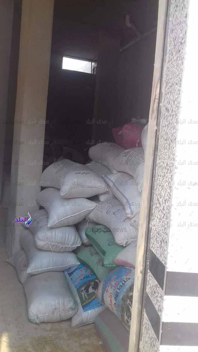 أرز شعير