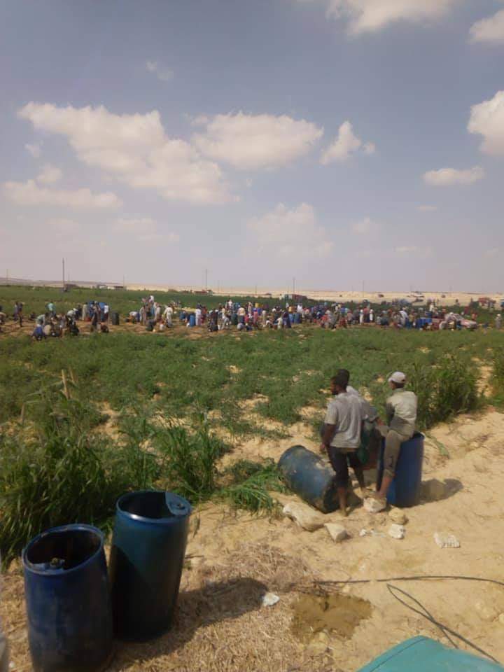 صورة - الحادث 