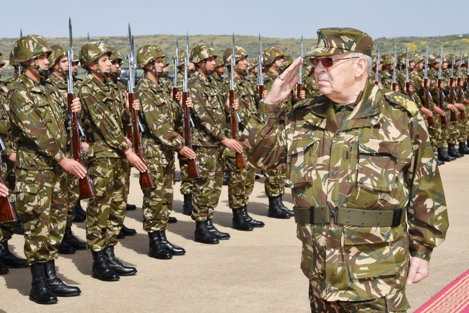 أرشيفية أرشيفية