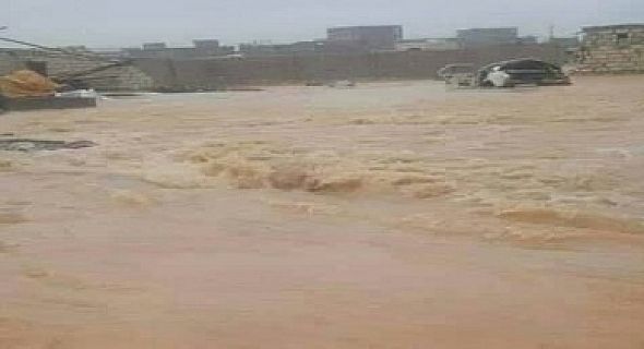 من محافظة المهرة اليمنية من محافظة المهرة اليمنية