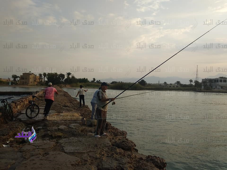 موسم صيد السوبيا 