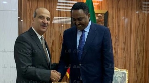 السفير المصري مع وزير الخارجية الإثيوبي السفير المصري مع وزير الخارجية الإثيوبي