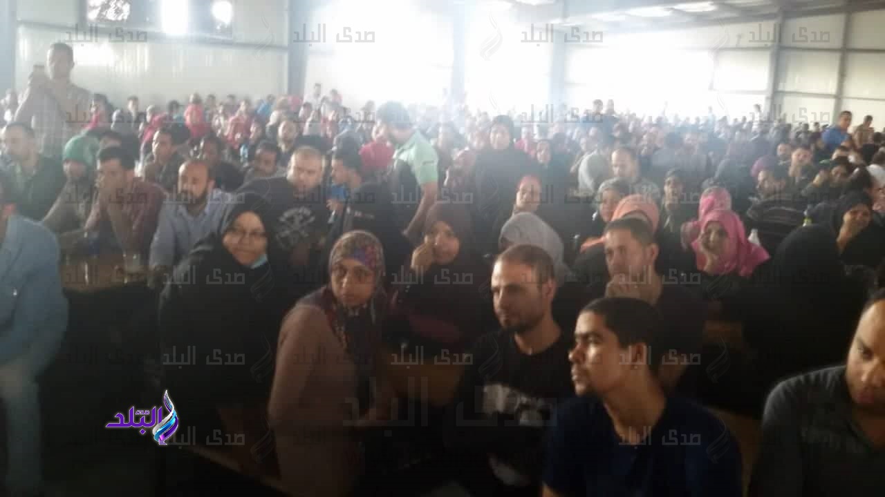 ندوة لـ3500 عامل بشركة بالإسماعيلية لتعريفهم بحقوقهم وواجبات ندوة لـ3500 عامل بشركة بالإسماعيلية لتعريفهم بحقوقهم وواجبات
