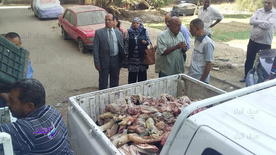 ضبط نصف طن لحوم فاسدة داخل ثلاجة مطعم بالزيتون
