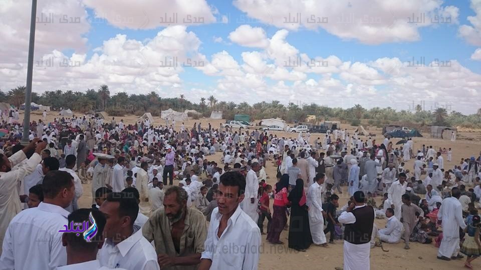 عيد السياحة 