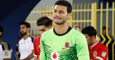 محمد الشناوي 