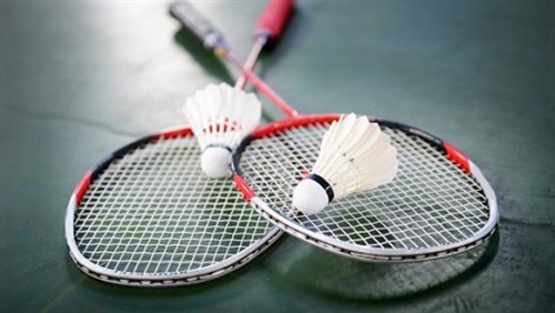 بطولة مصر الدولية الرابعة للريشة الطائرة،