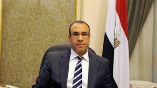 السفير بدر عبد العاطي، سفير مصر في ألمانيا