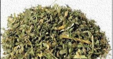 صورة أرشيفية - فودو 