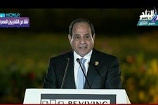 الرئيس السيسى 