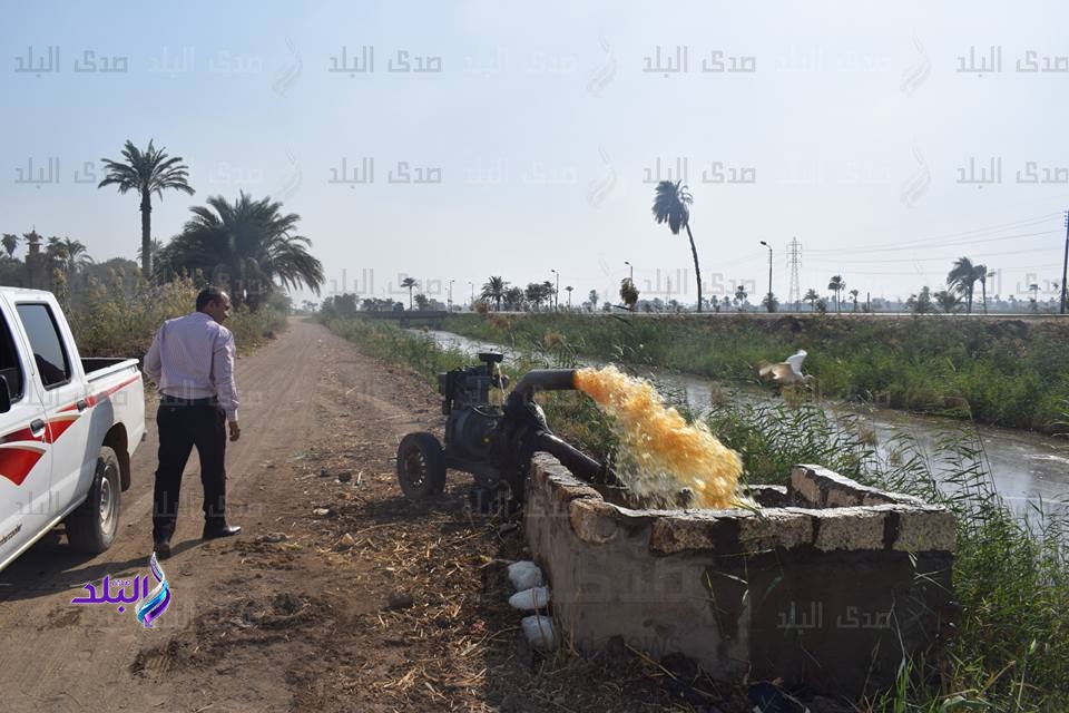 مزارع يروى أرضه الزراعية من مياه "الصرف الصحي"