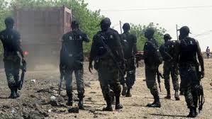 الامن في الكاميرون 