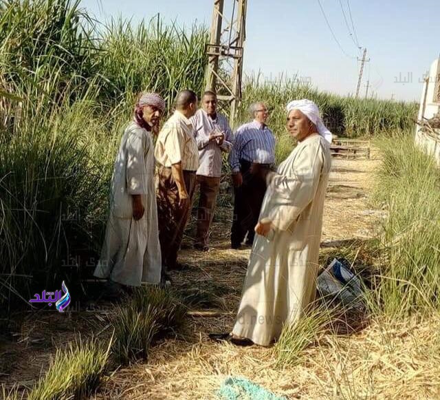 خطوط الكهرباء