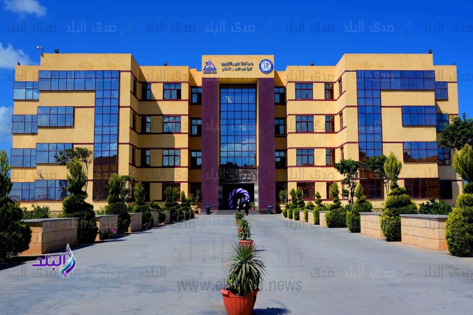 جامعة الدلتا 