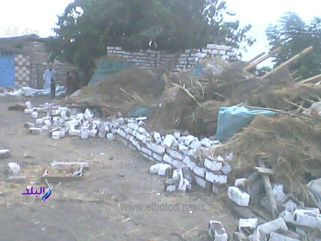 إزالة تعديات إزالة تعديات