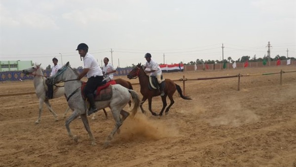 مهرجان للخيل العربي مهرجان للخيل العربي