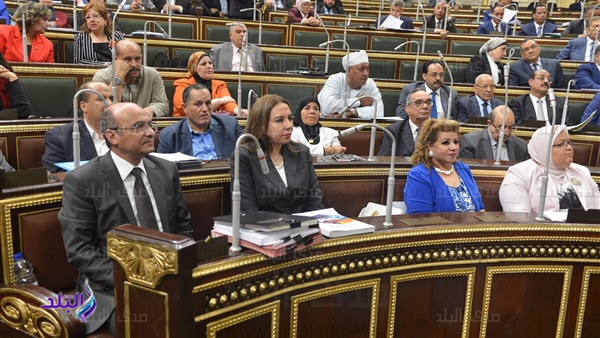 مجلس النواب المصري مجلس النواب المصري