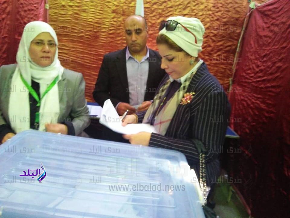 انتخابات الهيئة العليا لحزب الوفد انتخابات الهيئة العليا لحزب الوفد