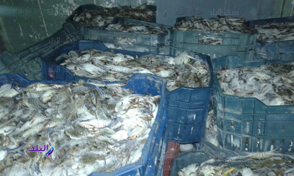 أسماك غير صالحة للاستهلاك الآدمي