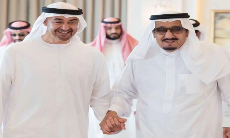 الملك سلمان والشيخ محمد بن زايد