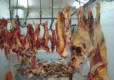 صورة ارشيفية