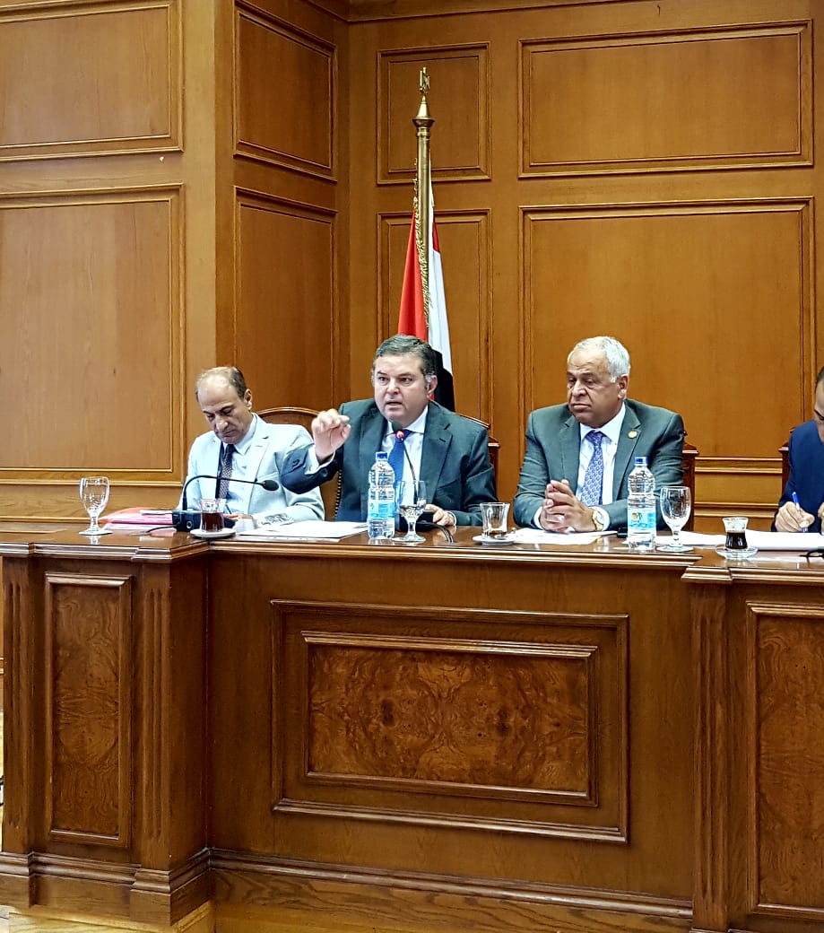 الوزير خلال اجتماع لجنة الصناعة بمجلس النواب